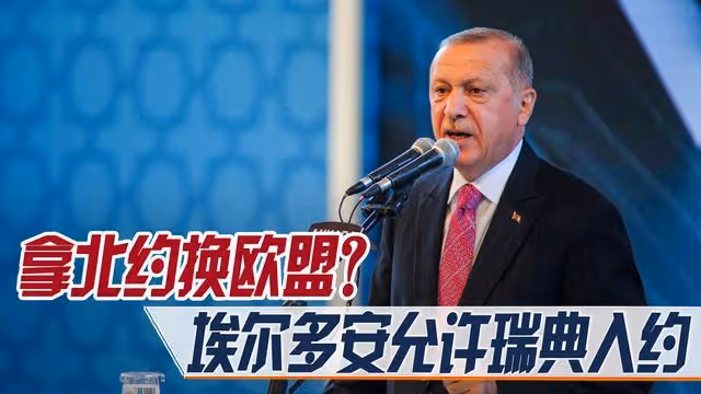 拿北約換歐盟?埃爾多安允許瑞典入約,土耳其到底撈到多少好處?