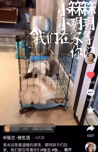 汪小菲奪孩失敗!父女生疏現獨自從台返京滿臉落寞,張蘭願望成空