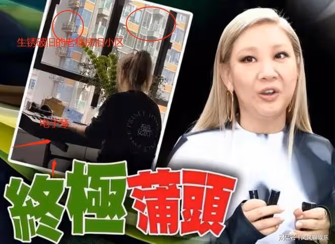 鄭欣宜被迫悲慘露面,6800萬遺產恐被男友騙光,頭髮凌亂生活寒酸