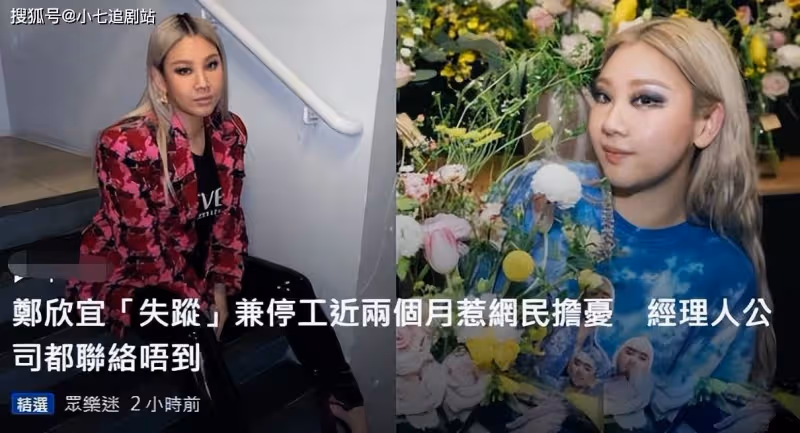 鄭欣宜終於露面,背影憔悴,體重暴瘦小腿走樣,恐被男友騙光遺產