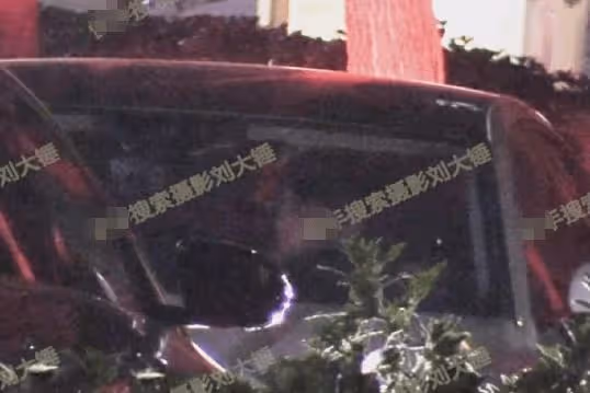 夜光劇本迴旋鏢？王鷗男友出軌素人美女，楊冪的話開始應驗了！