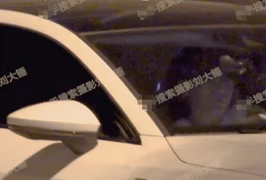 夜光劇本迴旋鏢？王鷗男友出軌素人美女，楊冪的話開始應驗了！