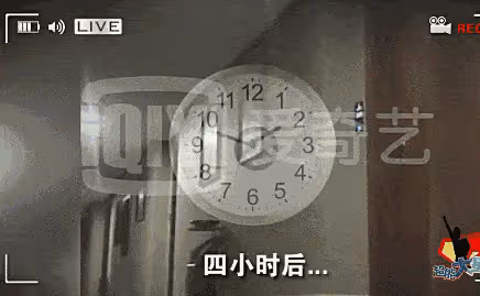 夜光劇本迴旋鏢?王鷗男友出軌素人美女,楊冪的話開始應驗了!