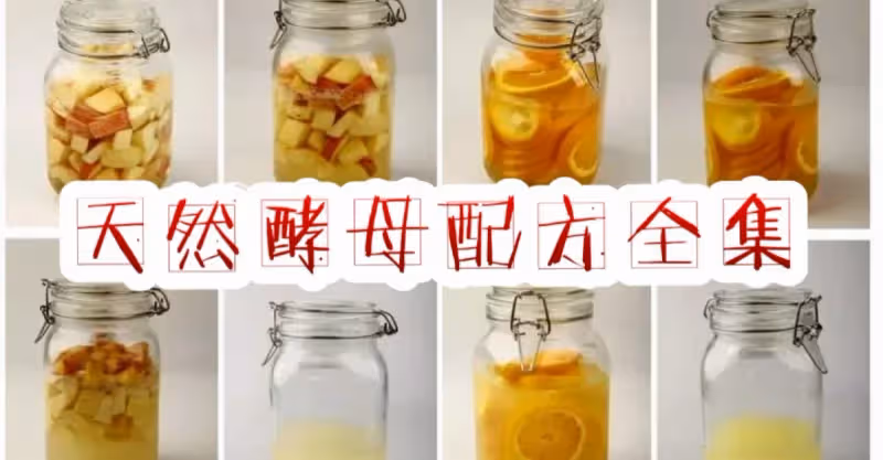 天然酵母配方全集 ，找了好久，先收藏起來！