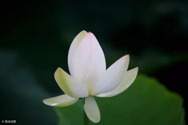 36歲的大齡剩女說:我是個富有的老姑娘,但我可能真的嫁不出去了
