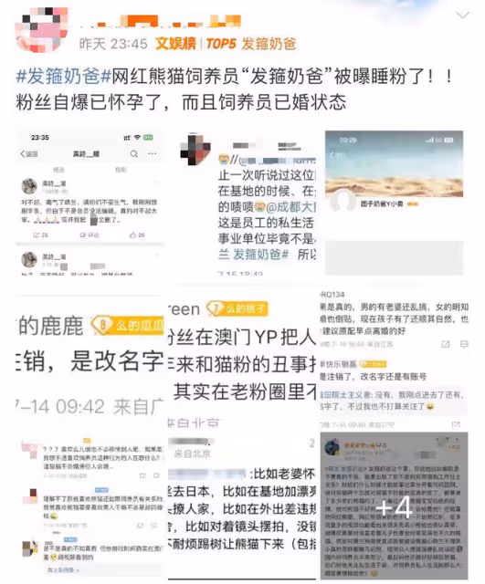 網紅熊貓飼養員被曝出軌睡粉!粉絲懷孕公開尋人,更多爆料被扒