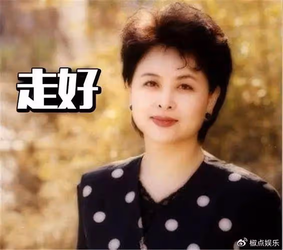 央視肖曉琳退休5個月,在美國兒子家去世,臨終26字遺言發人深省