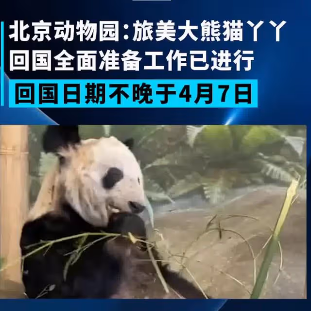網紅飼養員「發箍奶爸」被曝睡粉,女方懷孕找不到人,引更多爆料