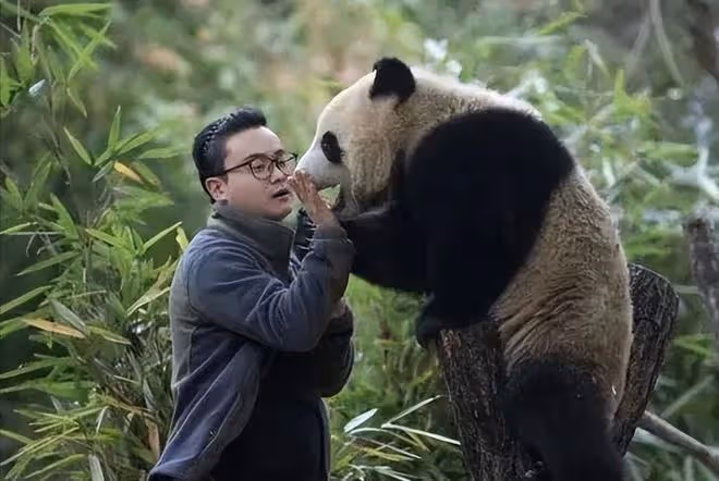 網紅飼養員「發箍奶爸」被曝睡粉,女方懷孕找不到人,引更多爆料