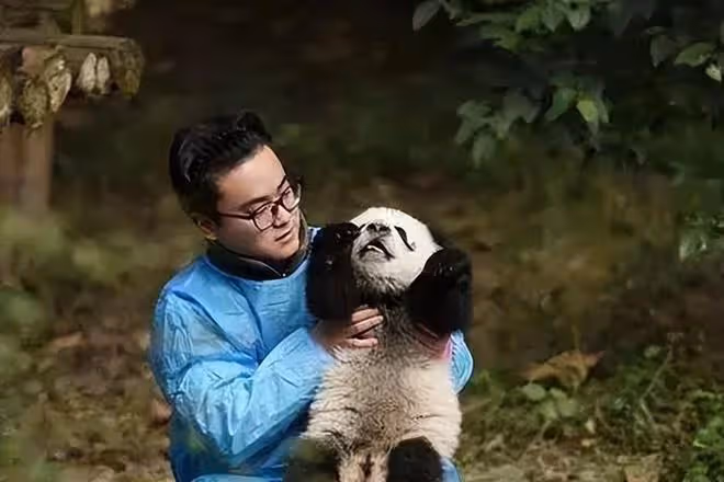 網紅飼養員「發箍奶爸」被曝睡粉,女方懷孕找不到人,引更多爆料