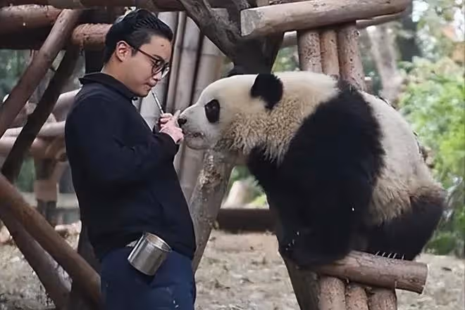 網紅飼養員「發箍奶爸」被曝睡粉,女方懷孕找不到人,引更多爆料