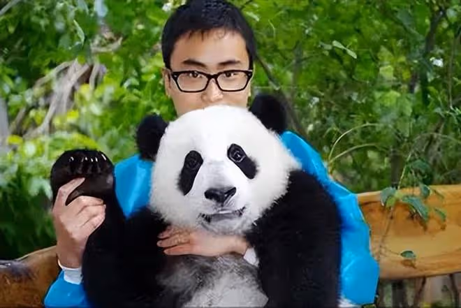 網紅飼養員「發箍奶爸」被曝睡粉,女方懷孕找不到人,引更多爆料