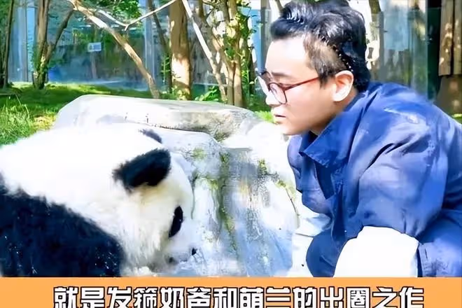 網紅飼養員「發箍奶爸」被曝睡粉,女方懷孕找不到人,引更多爆料