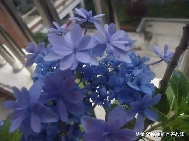 給外甥送了一套房子當婚房,侄子大鬧他也要,她:大嫂沒養過我
