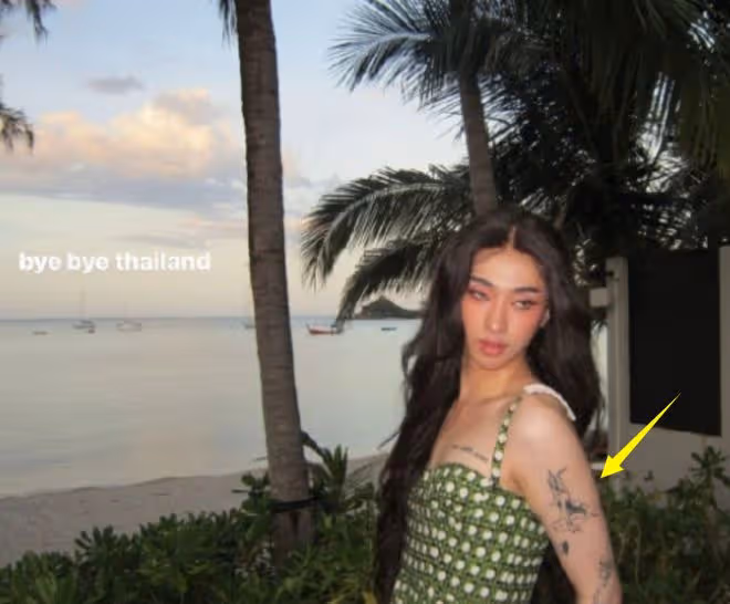 55歲伊能靜泰國秀泳裝,白髮搶鏡,手背暴露年齡,兒子紋身引爭議