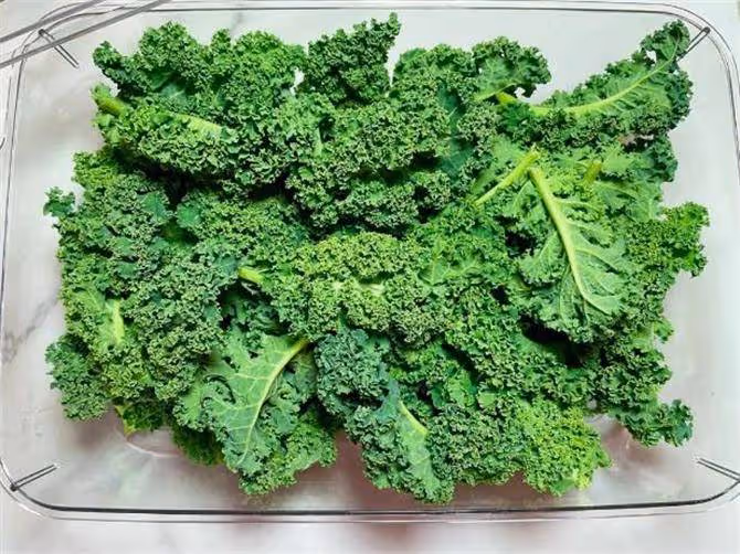 羽衣甘藍的最佳吃法是什麼？如何把羽衣甘藍做的好吃又爽口？