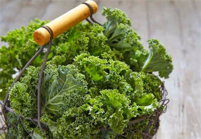 羽衣甘藍的最佳吃法是什麼？如何把羽衣甘藍做的好吃又爽口？