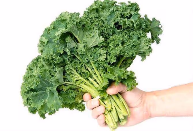 羽衣甘藍的最佳吃法是什麼？如何把羽衣甘藍做的好吃又爽口？
