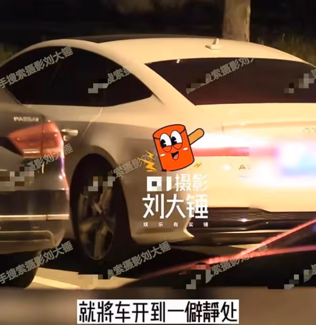 曝何九華出軌！與美女車內擁吻摸黑獨處3小時，曾疑似遭王鷗逼婚