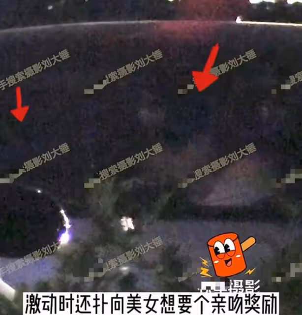 曝何九華出軌！與美女車內擁吻摸黑獨處3小時，曾疑似遭王鷗逼婚