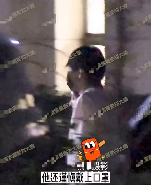 曝何九華出軌！與美女車內擁吻摸黑獨處3小時，曾疑似遭王鷗逼婚