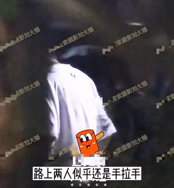曝何九華出軌！與美女車內擁吻摸黑獨處3小時，曾疑似遭王鷗逼婚