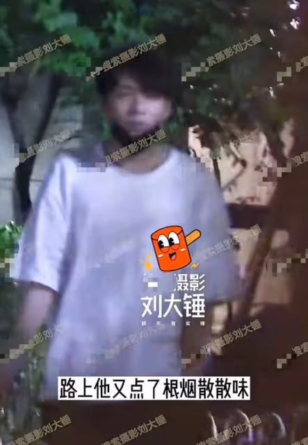 曝何九華出軌！與美女車內擁吻摸黑獨處3小時，曾疑似遭王鷗逼婚