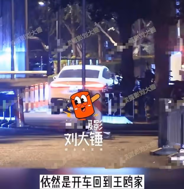 曝何九華出軌！與美女車內擁吻摸黑獨處3小時，曾疑似遭王鷗逼婚