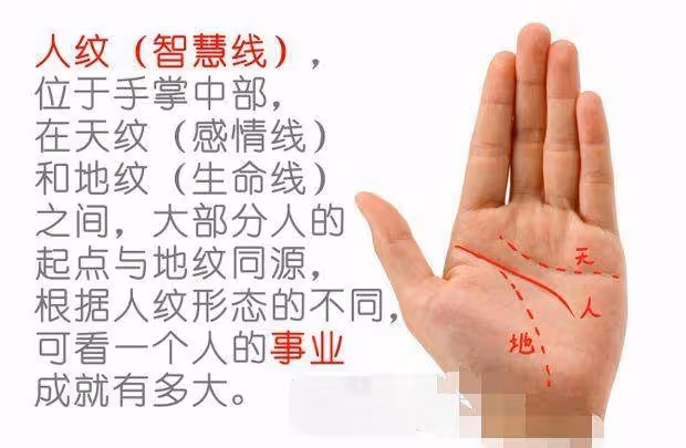 手有「此紋」的人,晚年定有好運,十有八九富貴吉祥,晚年不愁