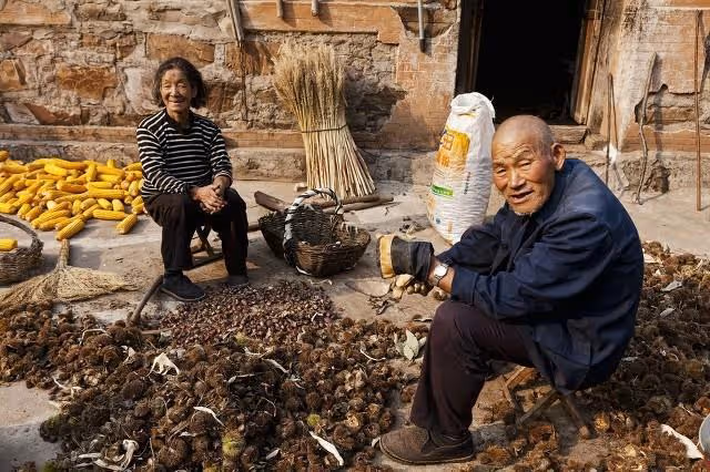 河南農村5旬大媽自己掙錢自己花，一分不給兩兒子，聽她說因為啥