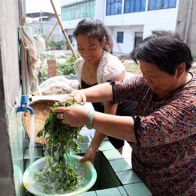 河南6旬老夫妻種10畝地養20隻羊，一月只花100元，只為給兒子買房