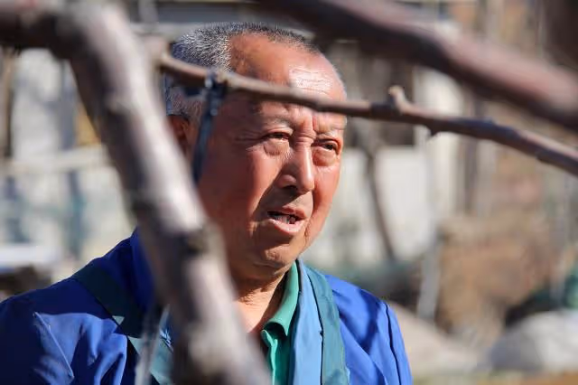 河南8旬老夫妻連生6個閨女,被村裡人嘲笑「絕戶頭」,現過的咋樣