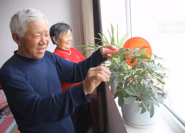 河南8旬老夫妻連生6個閨女,被村裡人嘲笑「絕戶頭」,現過的咋樣