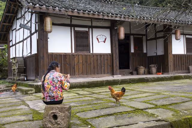 河南5旬喪偶大嬸在城裡當了2年保姆,現僱主大爺要娶她,聽她咋說