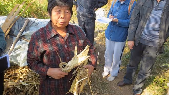 河南8旬奶奶得了重病,3個子女因5萬塊錢醫藥費生了矛盾,咋回事