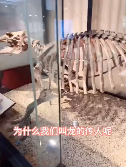 張蘭再曝大S台獨行徑,對著恐龍教導孫子們:一定要做龍的傳人