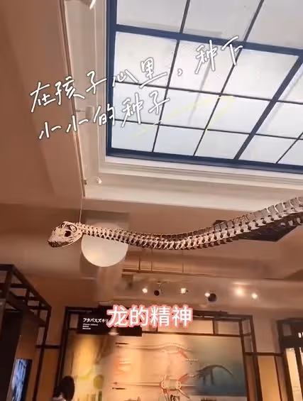 張蘭再曝大S台獨行徑,對著恐龍教導孫子們:一定要做龍的傳人