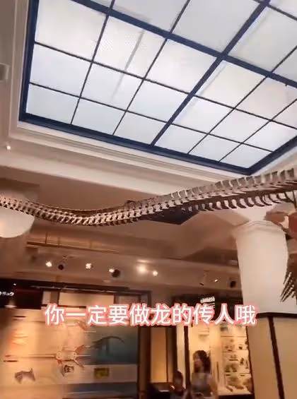 張蘭再曝大S台獨行徑,對著恐龍教導孫子們:一定要做龍的傳人