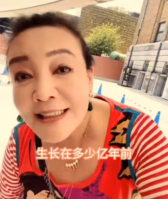 張蘭帶孫子去博物館,對著恐龍教汪希霖做龍的傳人,被吐槽沒文化