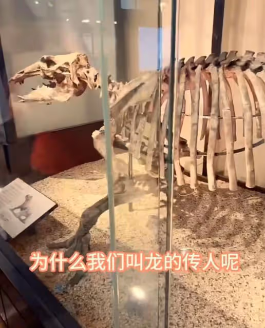 張蘭帶孫子去博物館,對著恐龍教汪希霖做龍的傳人,被吐槽沒文化