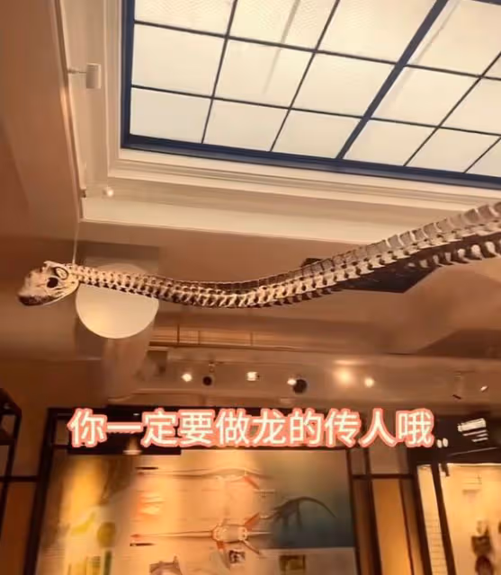 張蘭帶孫子去博物館,對著恐龍教汪希霖做龍的傳人,被吐槽沒文化