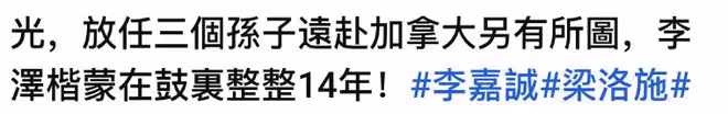 曝李嘉誠梁洛施私下做交易,仨兒隨母住原因曝光,李澤楷被瞞14年