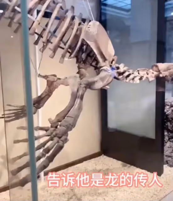 張蘭:帶孫子孫女參觀日本博物館,指著恐龍教育孩子要當龍的傳人