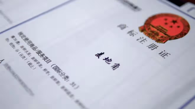 黃陵:立足大市場,深化改革打造最優營商環境