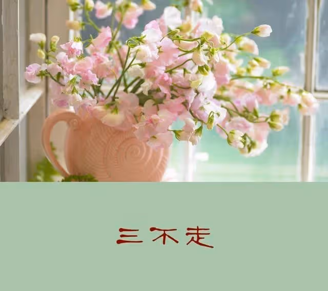 人過50歲!切記:「不走三親、不喝三酒、不比三物」 不是「人情冷漠」而是現實