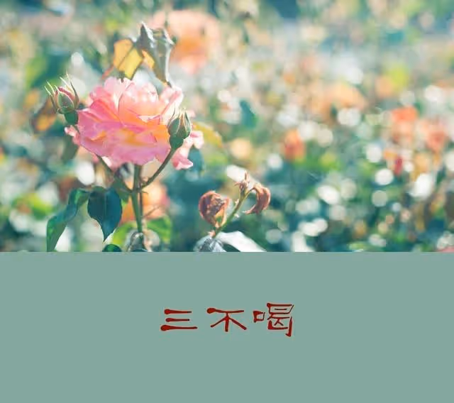 人過50歲!切記:「不走三親、不喝三酒、不比三物」 不是「人情冷漠」而是現實