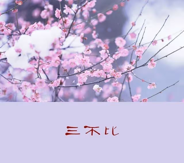 人過50歲!切記:「不走三親、不喝三酒、不比三物」 不是「人情冷漠」而是現實