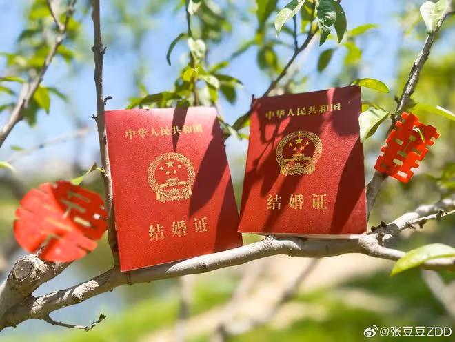 孫楊官宣與張豆豆結婚,甜蜜婚紗照曝光,男帥女美配一臉