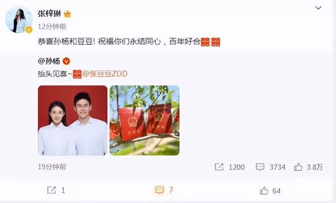 孫楊官宣與張豆豆結婚,甜蜜婚紗照曝光,男帥女美配一臉