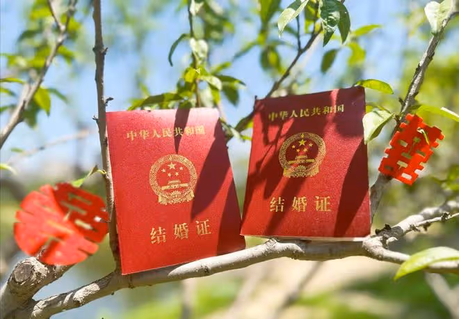 「虎媽」楊明點頭,孫楊才和體操教練張豆豆官宣結婚?她真對我好